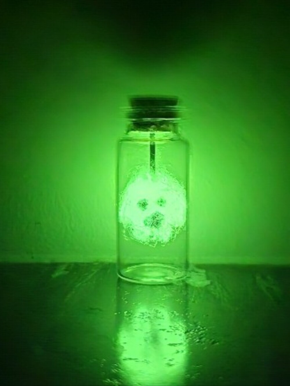 GLOW IN THE DARK Ghost In A Jar